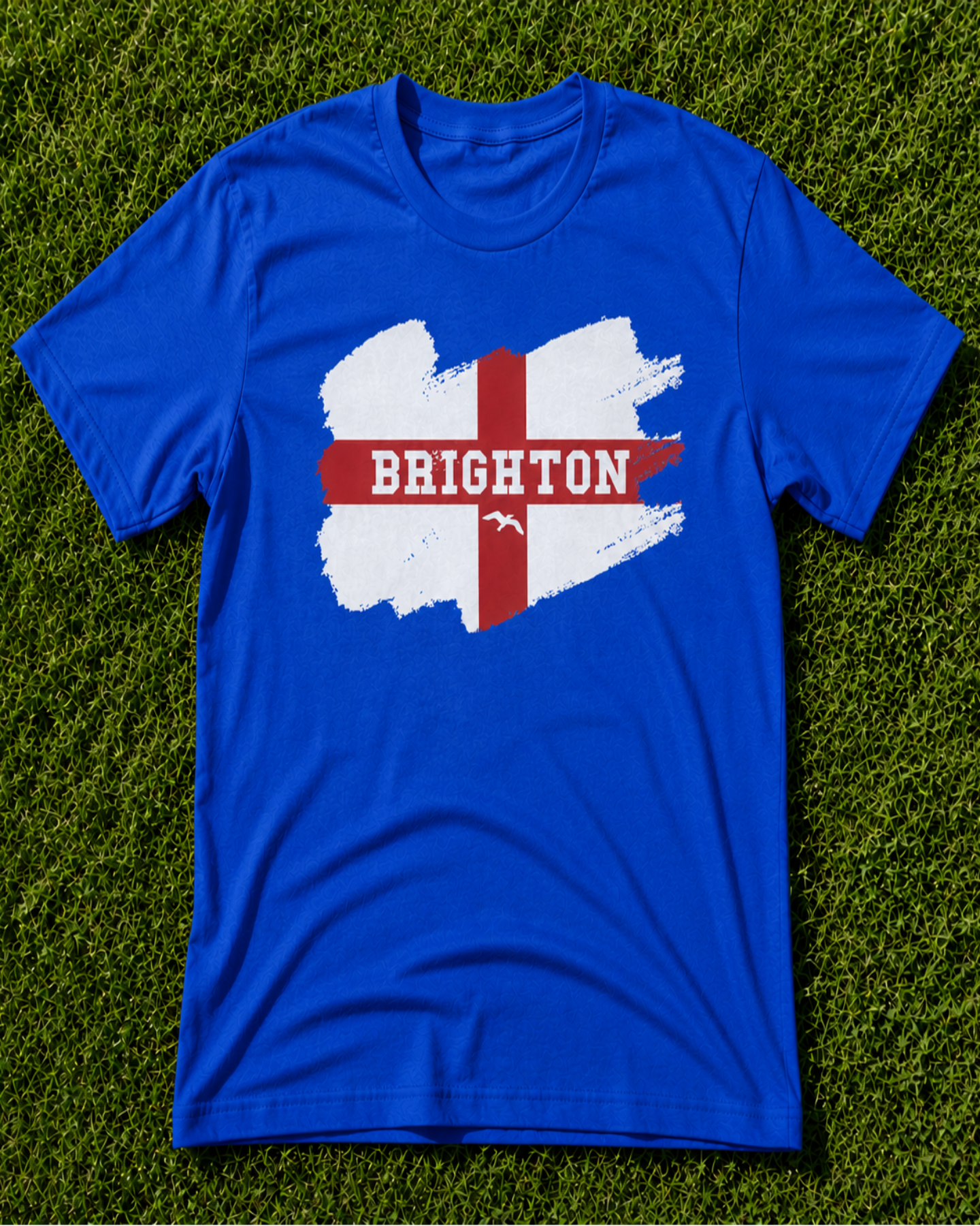 Brighton England Seagull T-Shirt