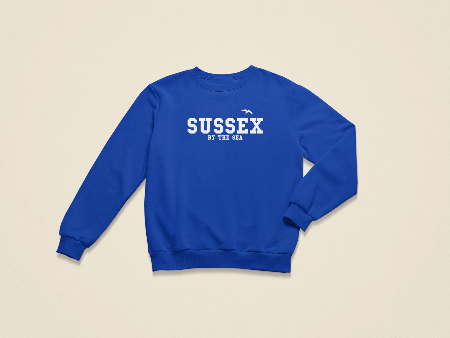 Sussex by the sea seagull unisex sweatshirt