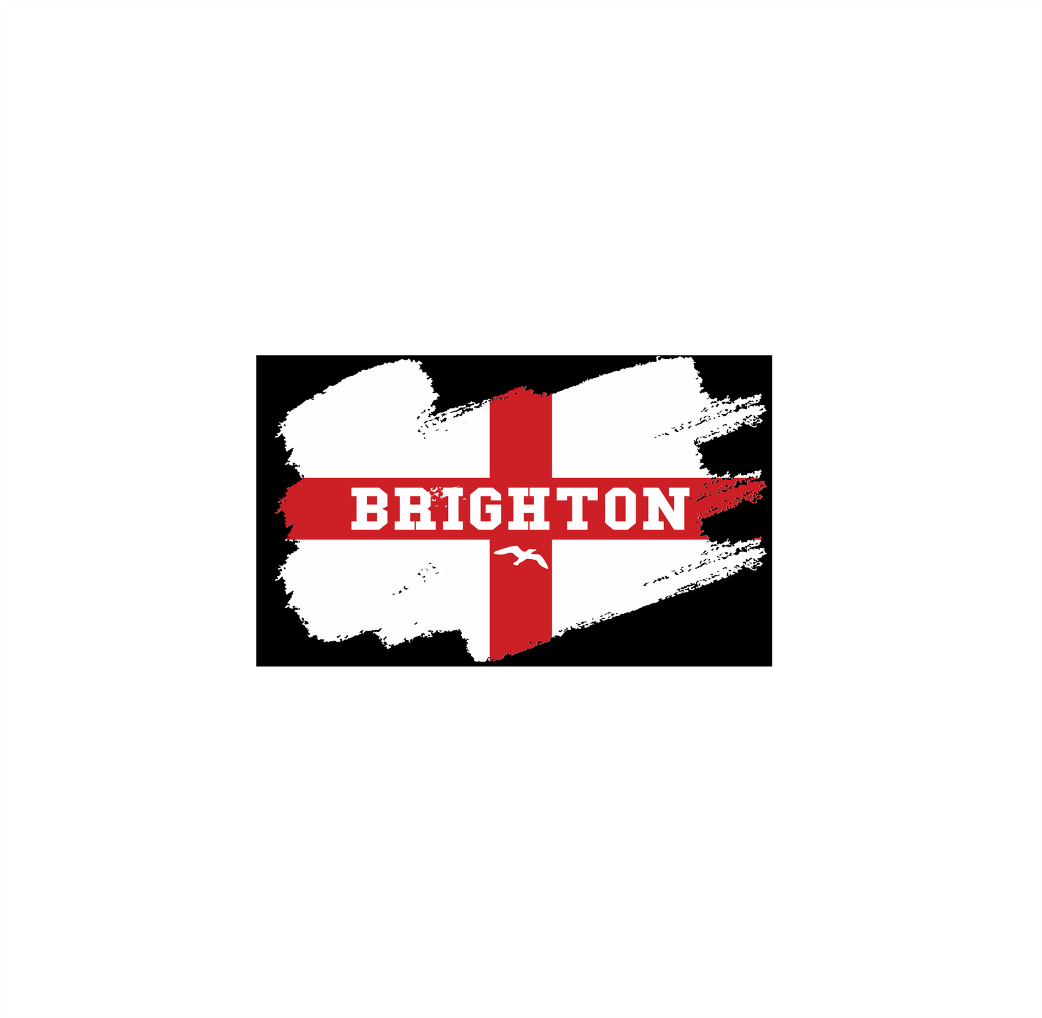 Brighton England Seagull