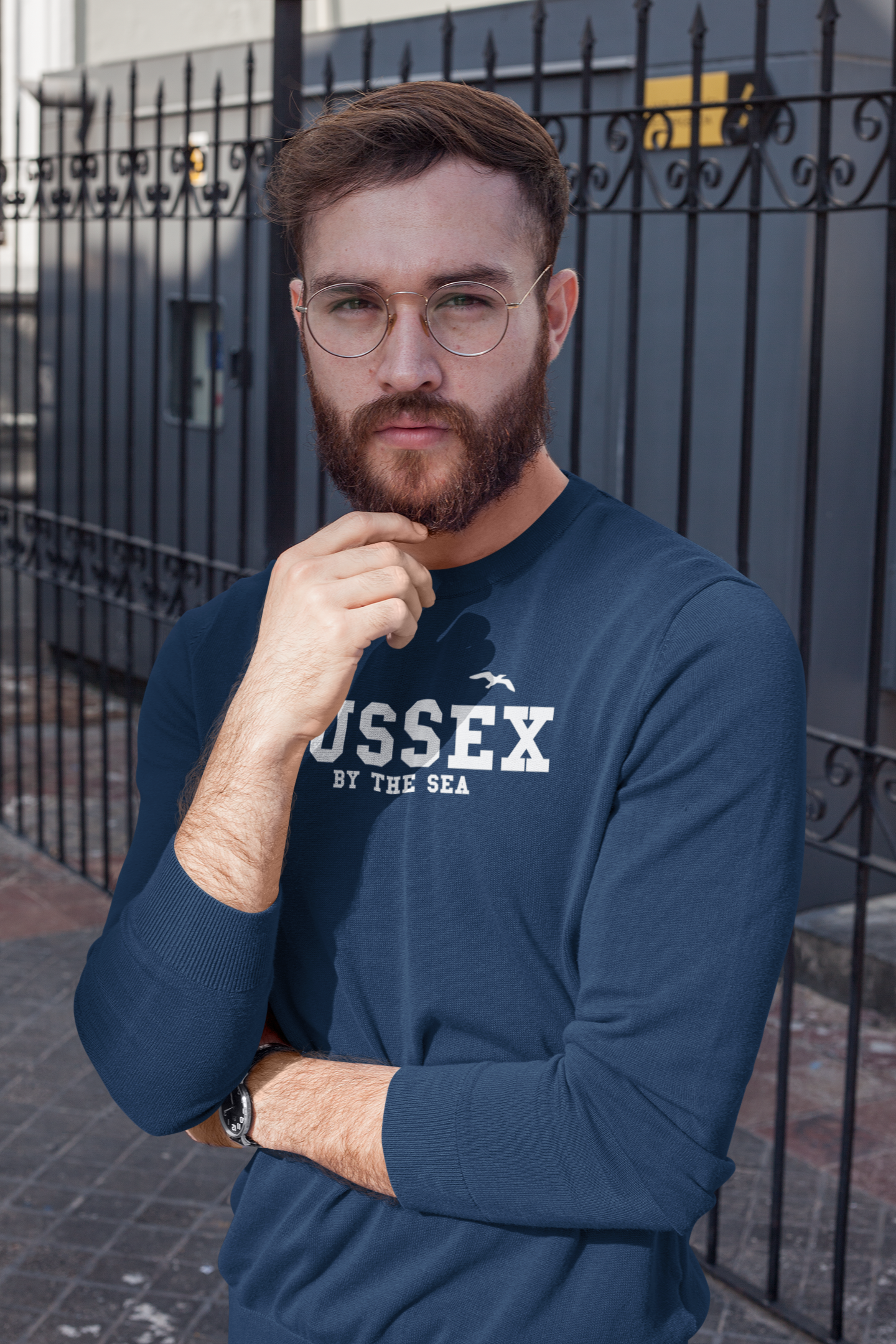 Sussex by the sea seagull unisex sweatshirt