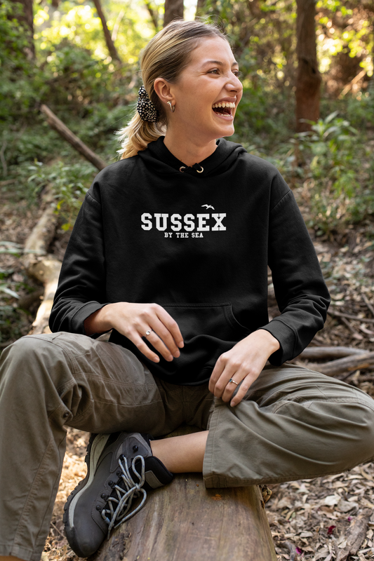 Sussex by the sea Seagull unisex hoodie