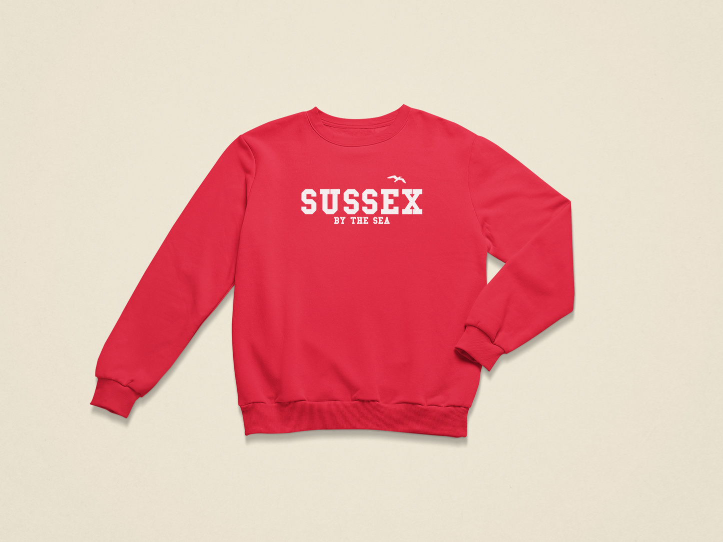 Sussex by the sea seagull unisex sweatshirt